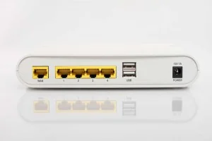 vera3 back