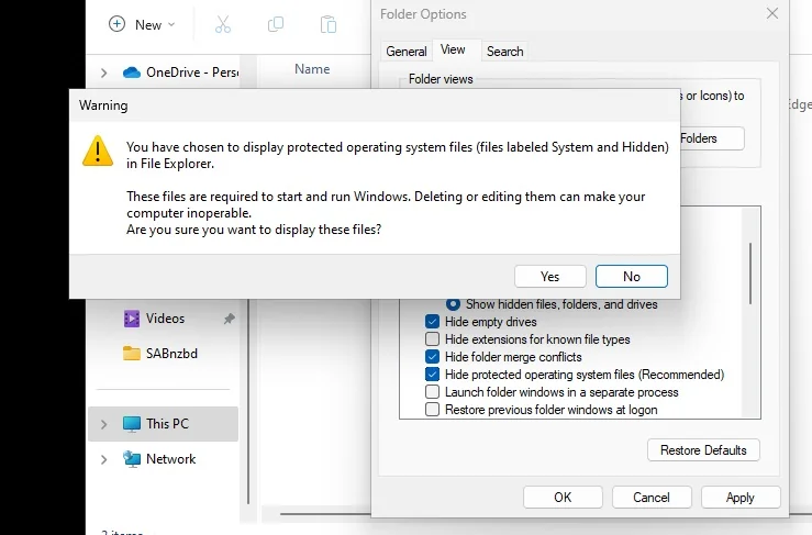 Windows warning about showing protected system files, with the Yes button